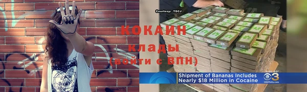 соль ск Дмитровск