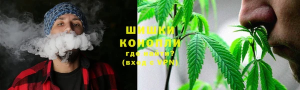 соль ск Дмитровск