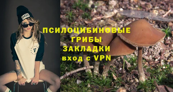 соль ск Дмитровск