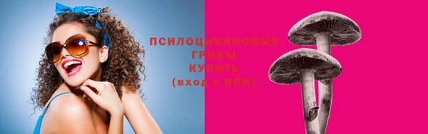 прущая мука Дмитров