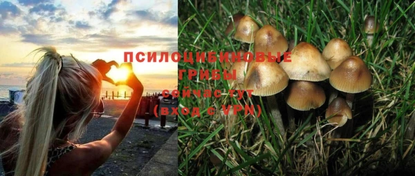 соль ск Дмитровск