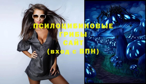 соль ск Дмитровск