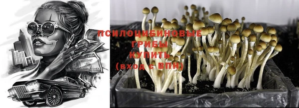 прущая мука Дмитров